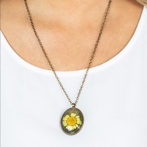 🌻Prairie Passion Yellow 🌻